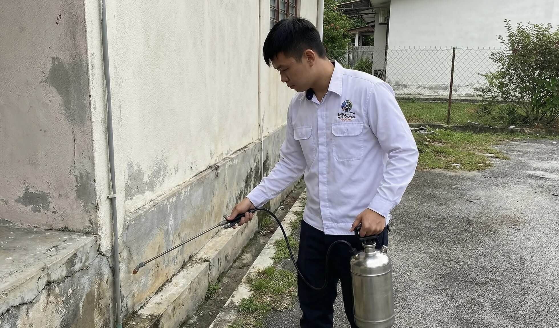 Professional pest control service